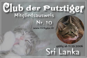 Club der Putztiger