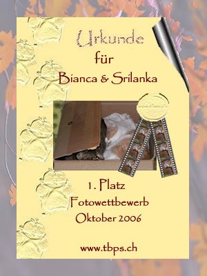 Bianca & Srikki beim Fotowettbewerb im Oktober 2006